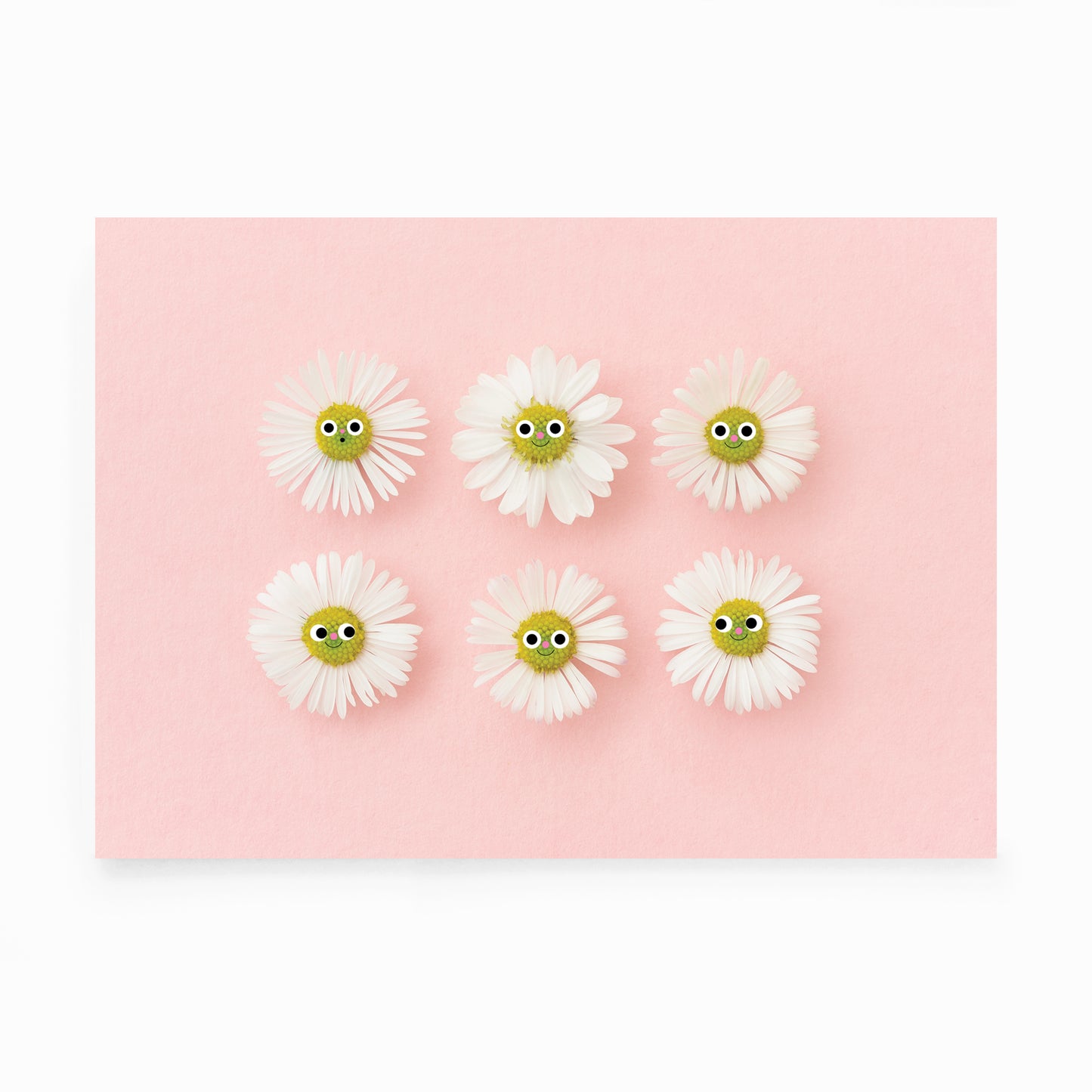 A3 Daisy print