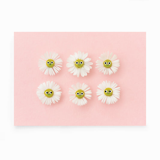 A3 Daisy print