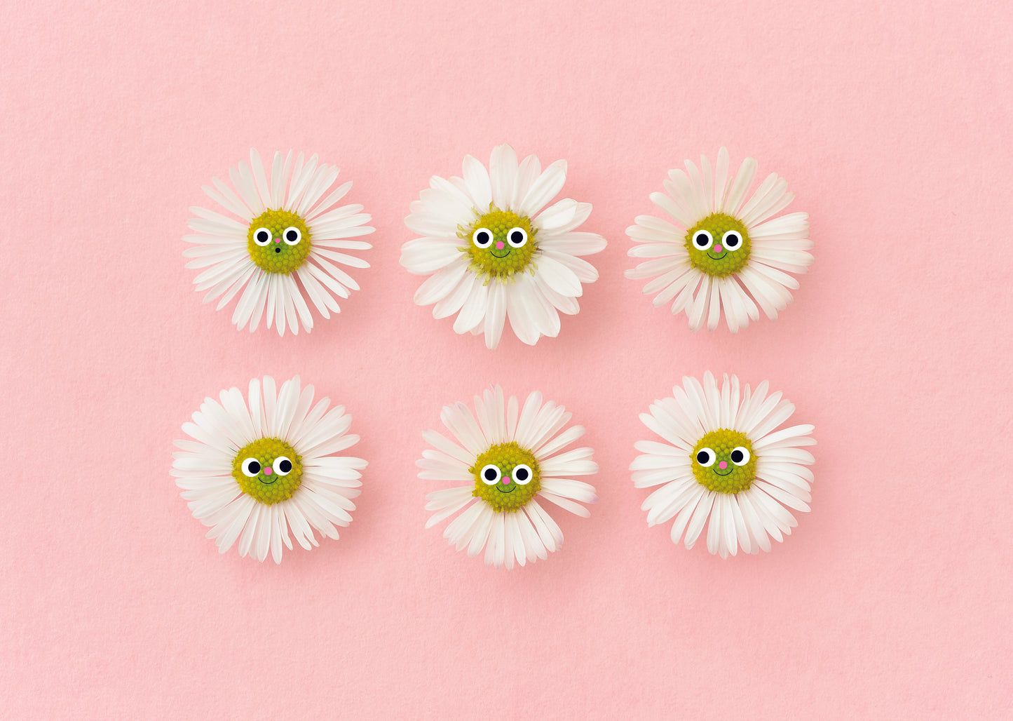 A3 Daisy print